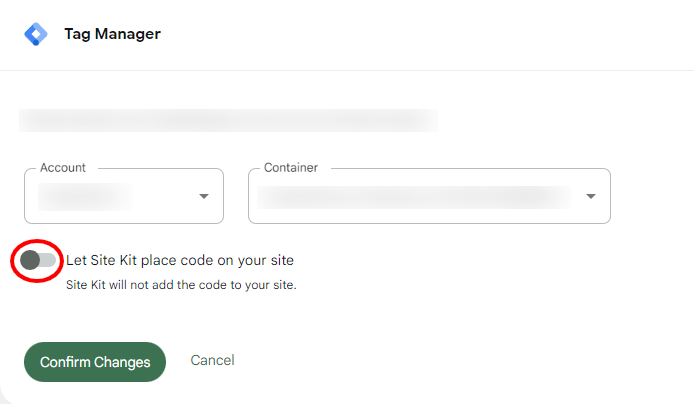 Remove Tag Manager Code Option